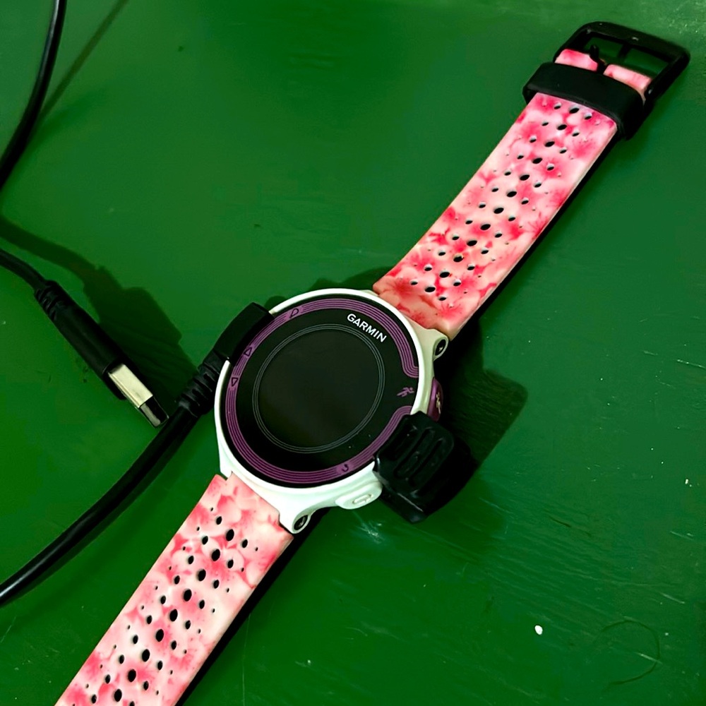 Garmin Forerunner 220